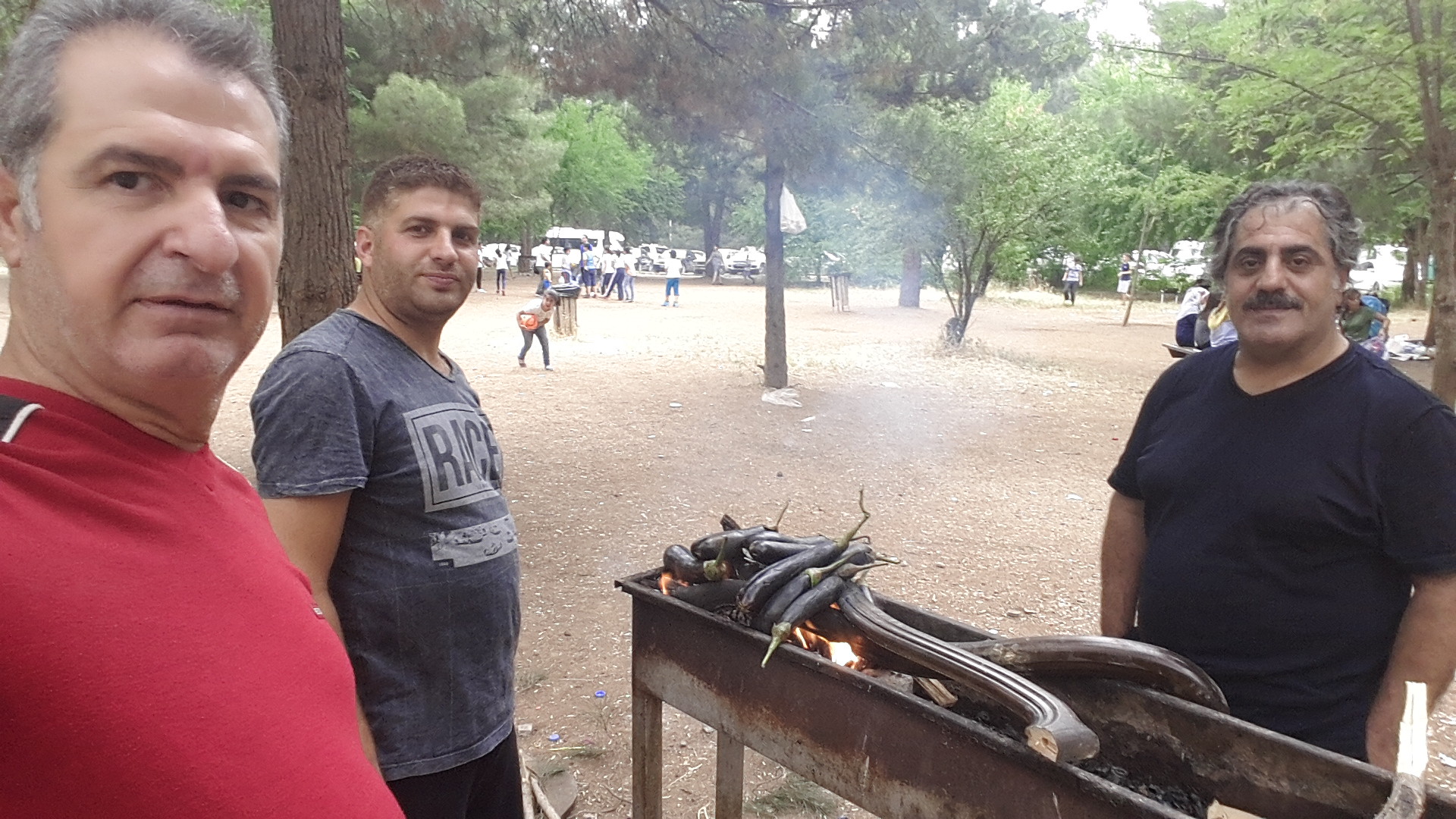 BARBEKÜ PARTİSİ
